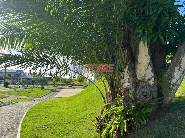 Terreno com 509m², à venda, no bairro Nossa Senhora da Vitória em Ilhéus