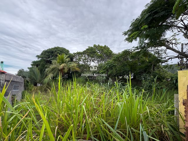 Terreno com 600m², à venda, no bairro Jardim Atlântico Oeste (Itaipuaçu) em Maricá