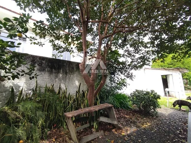 Terreno com 600m², à venda, no bairro Oficinas em Ponta Grossa