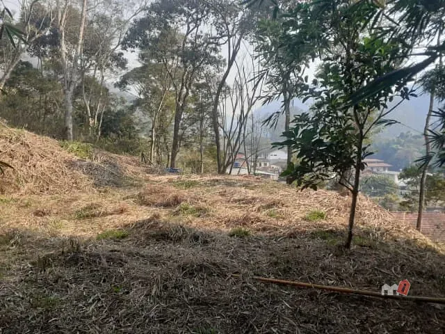 Terreno com 4000m², à venda, no bairro Araras em Petrópolis