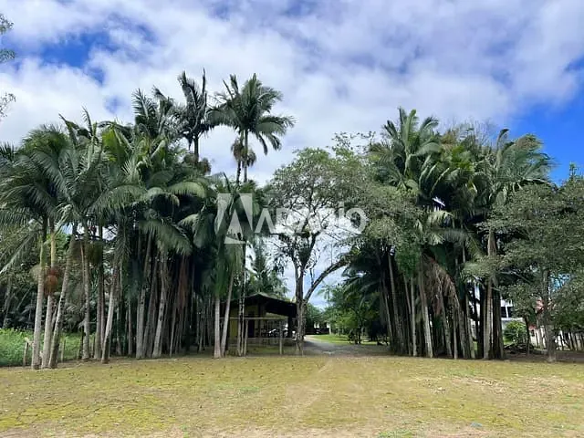 Terreno com 2107m², à venda, no bairro Centro em Ilhota