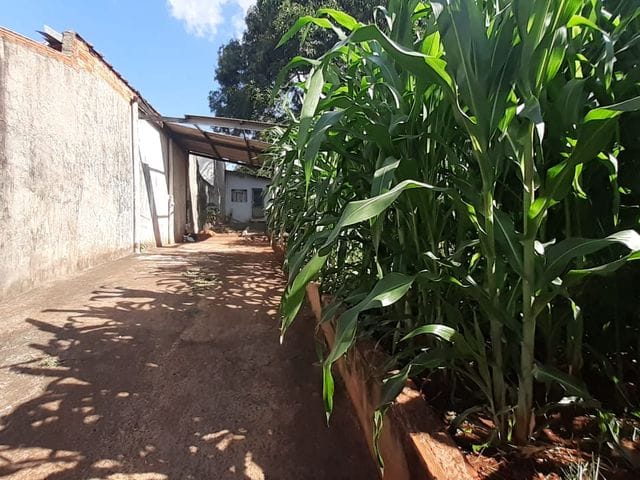 Foto do Terreno - Terreno à venda ZR4 em ótima localização na zona leste de Londrina, na Av. São João - 390m² - Área comercial e bem localizada para investimento | Guepardo Imob