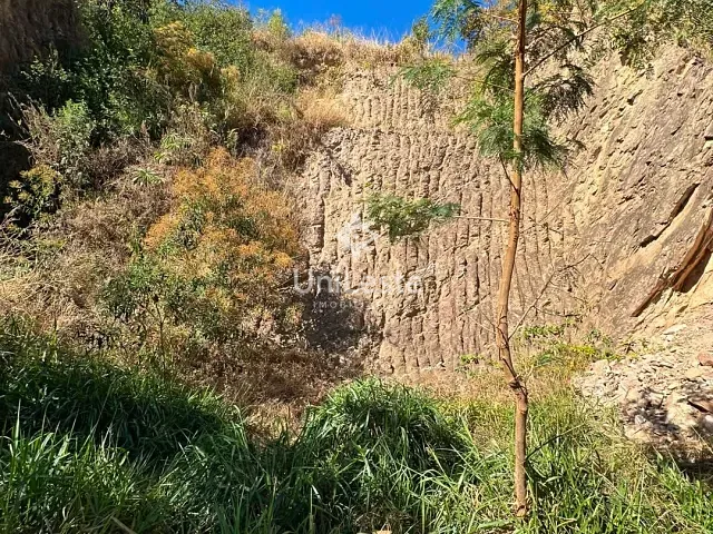 Terreno com 444m², à venda, no bairro Jonas Veiga em Belo Horizonte