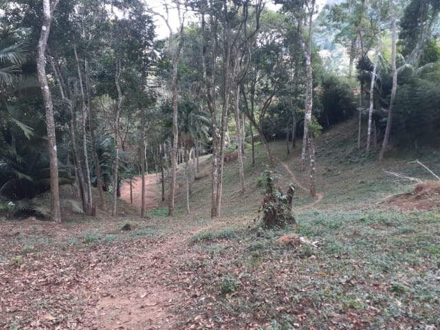 Terreno com 7740m², à venda, no bairro Araras em Petrópolis