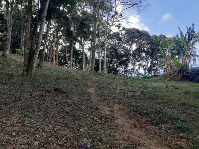 Terreno com 7740m², à venda, no bairro Araras em Petrópolis