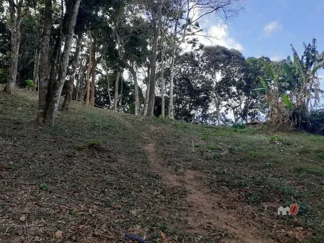 Terreno com 7740m², à venda, no bairro Araras em Petrópolis