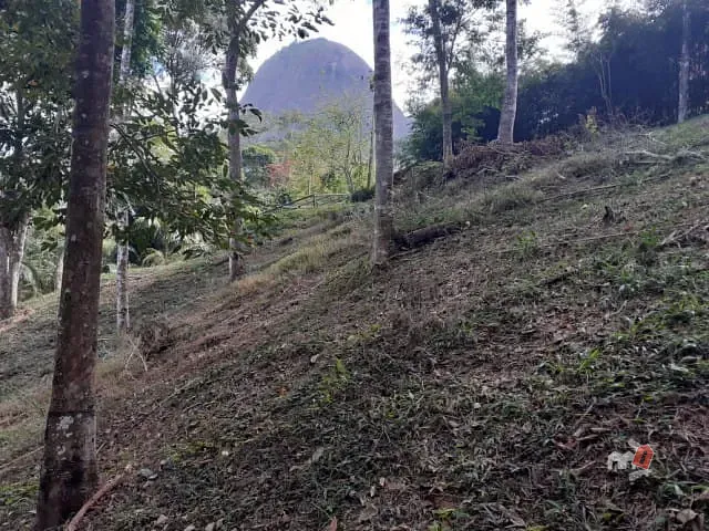 Terreno com 7740m², à venda, no bairro Araras em Petrópolis