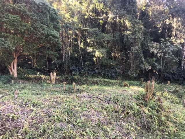 Terreno com 998m², à venda, no bairro Independência em Petrópolis