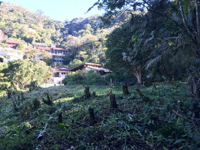 Terreno com 998m², à venda, no bairro Independência em Petrópolis