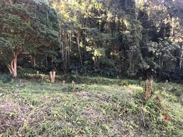 Terreno com 998m², à venda, no bairro Independência em Petrópolis