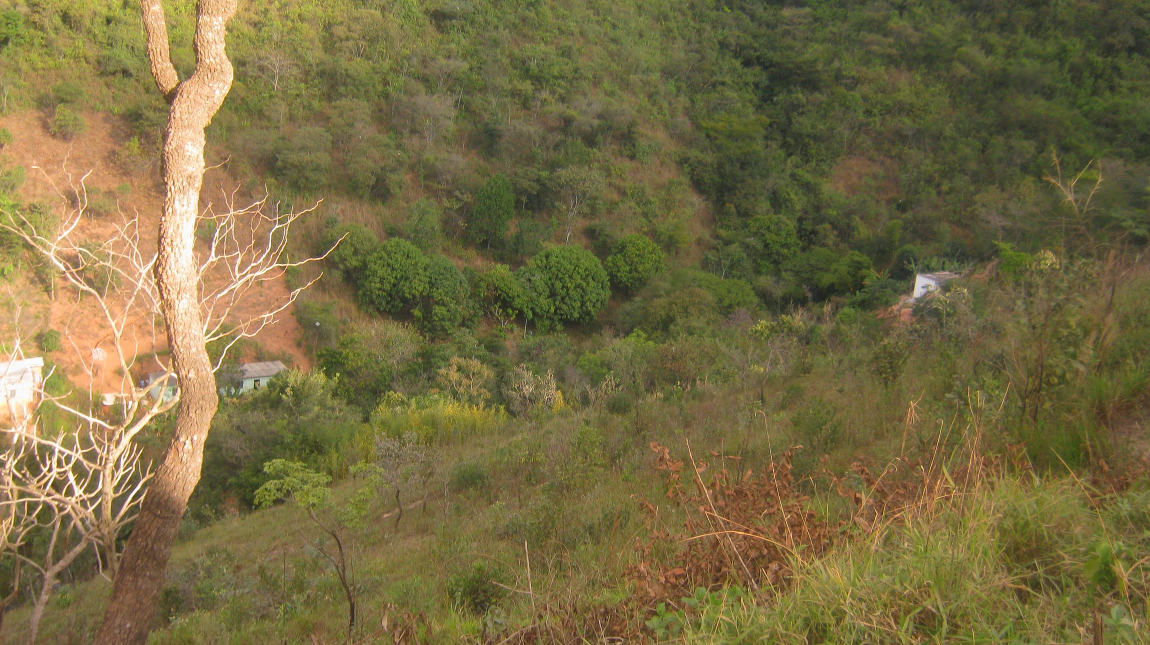 Terreno composto por 02 lotes num total de 4.000 m ² e com a taxa de ocupação de 60%, e taxa de aproveitamento de 1,5, Santo Antônio (Roça Grande), Sabará miniatura 17