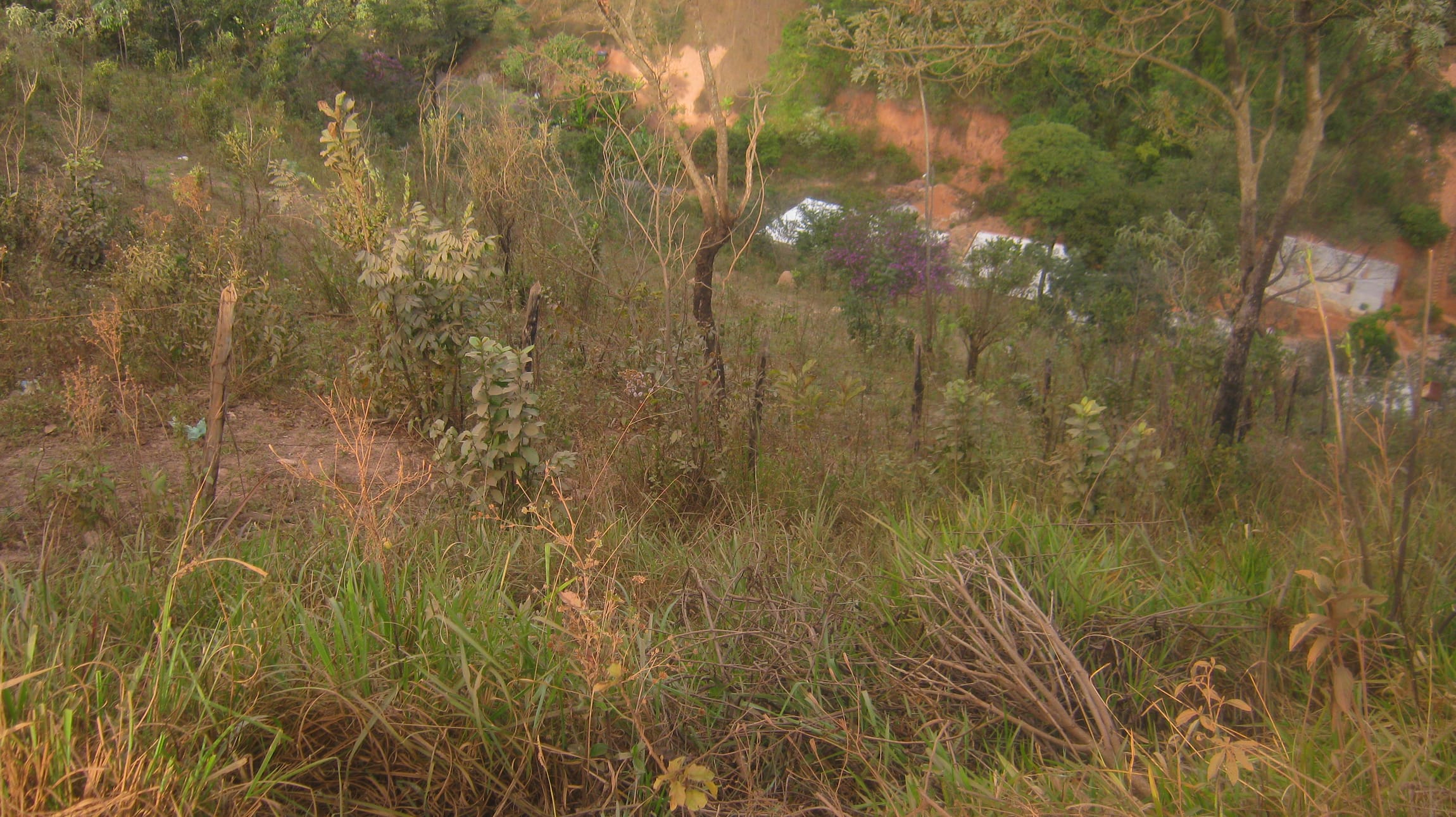 Terreno composto por 02 lotes num total de 4.000 m ² e com a taxa de ocupação de 60%, e taxa de aproveitamento de 1,5, Santo Antônio (Roça Grande), Sabará miniatura 16