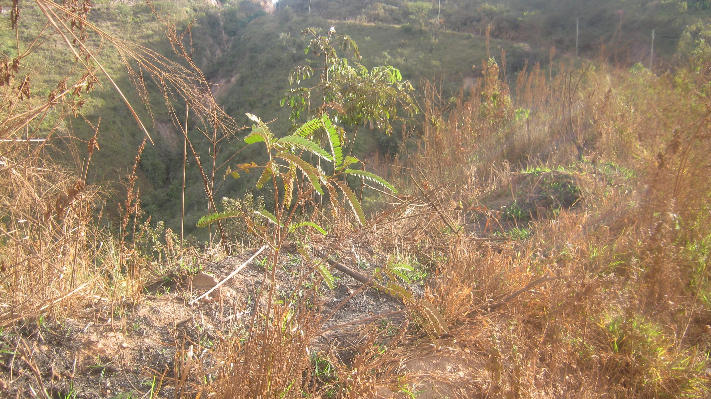 Terreno composto por 02 lotes num total de 4.000 m ² e com a taxa de ocupação de 60%, e taxa de aproveitamento de 1,5, Santo Antônio (Roça Grande), Sabará miniatura 24