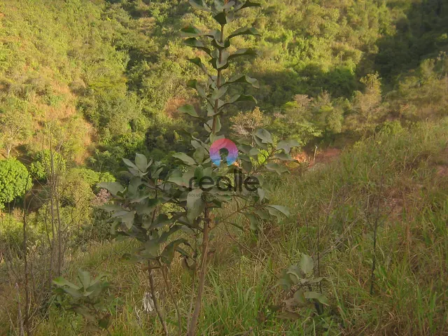 Terreno com 4000m², à venda, no bairro Santo Antônio (Roça Grande) em Sabará