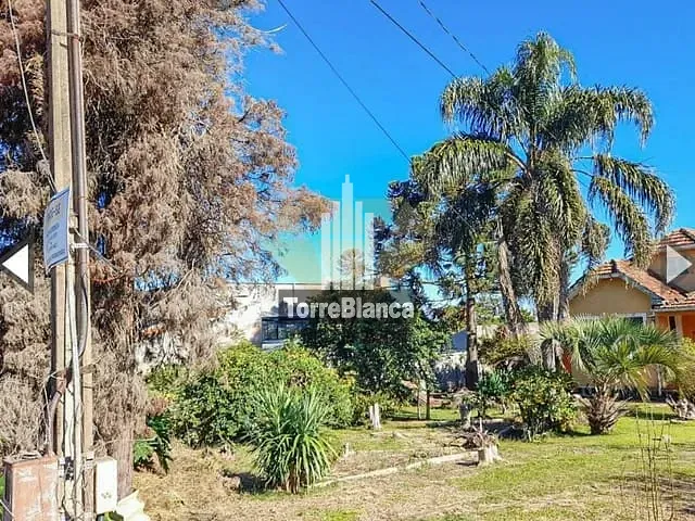 Terreno com 891m², à venda, no bairro Oficinas em Ponta Grossa