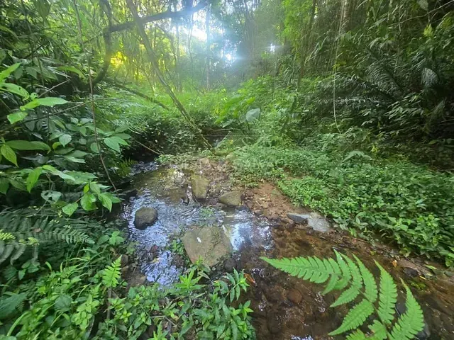 Terreno com 10m², à venda, no bairro Tanguá em Almirante Tamandaré