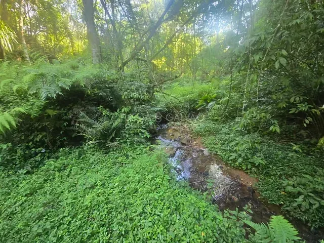 Terreno com 10m², à venda, no bairro Tanguá em Almirante Tamandaré