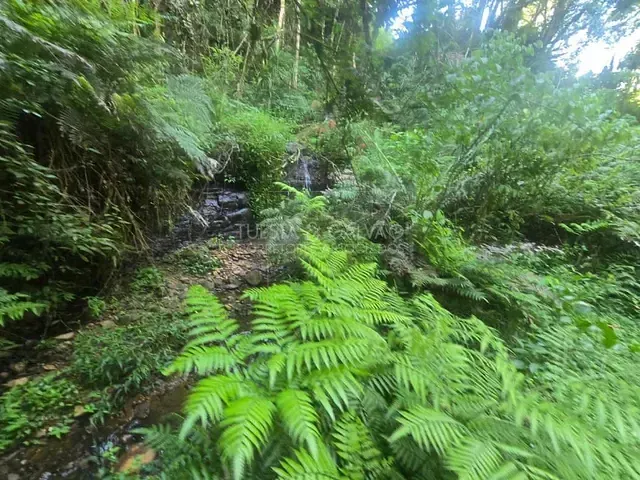 Terreno com 10m², à venda, no bairro Tanguá em Almirante Tamandaré