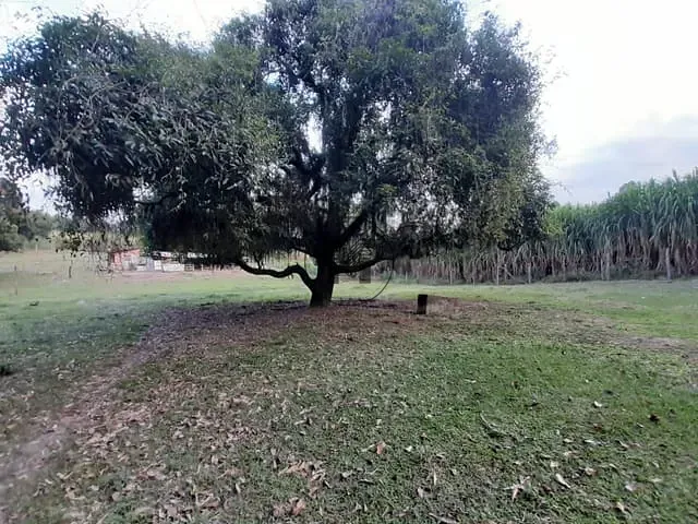 Terreno com 37000m², à venda, no bairro Clube dos Quinhentos em Guaratinguetá