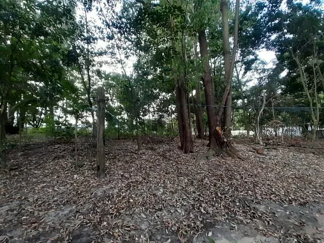 Terreno com 37000m², à venda, no bairro Clube dos Quinhentos em Guaratinguetá