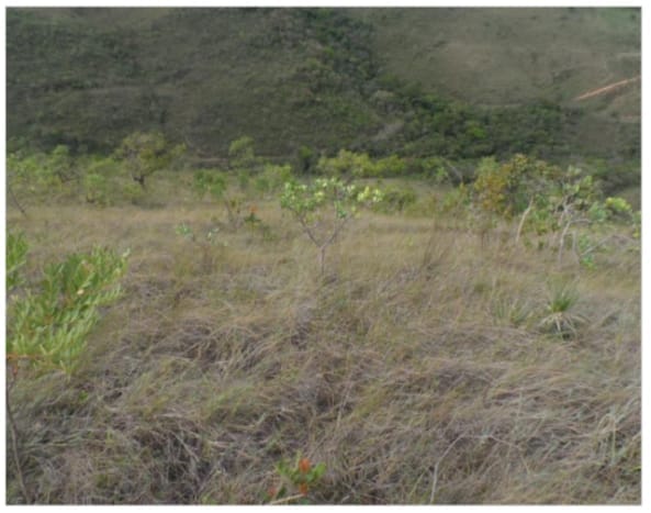 Terreno à venda,20 mil metros quadrados, 50% plano e 50% relevo 9 km de ótima estrada de terra. Escritura e registro. Centro, Sabará, MG miniatura 23