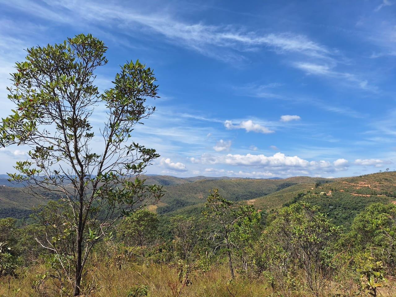 Terreno à venda,20 mil metros quadrados, 50% plano e 50% relevo 9 km de ótima estrada de terra. Escritura e registro. Centro, Sabará, MG miniatura 52