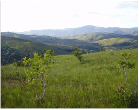 Terreno à venda,20 mil metros quadrados, 50% plano e 50% relevo 9 km de ótima estrada de terra. Escritura e registro. Centro, Sabará, MG miniatura 24