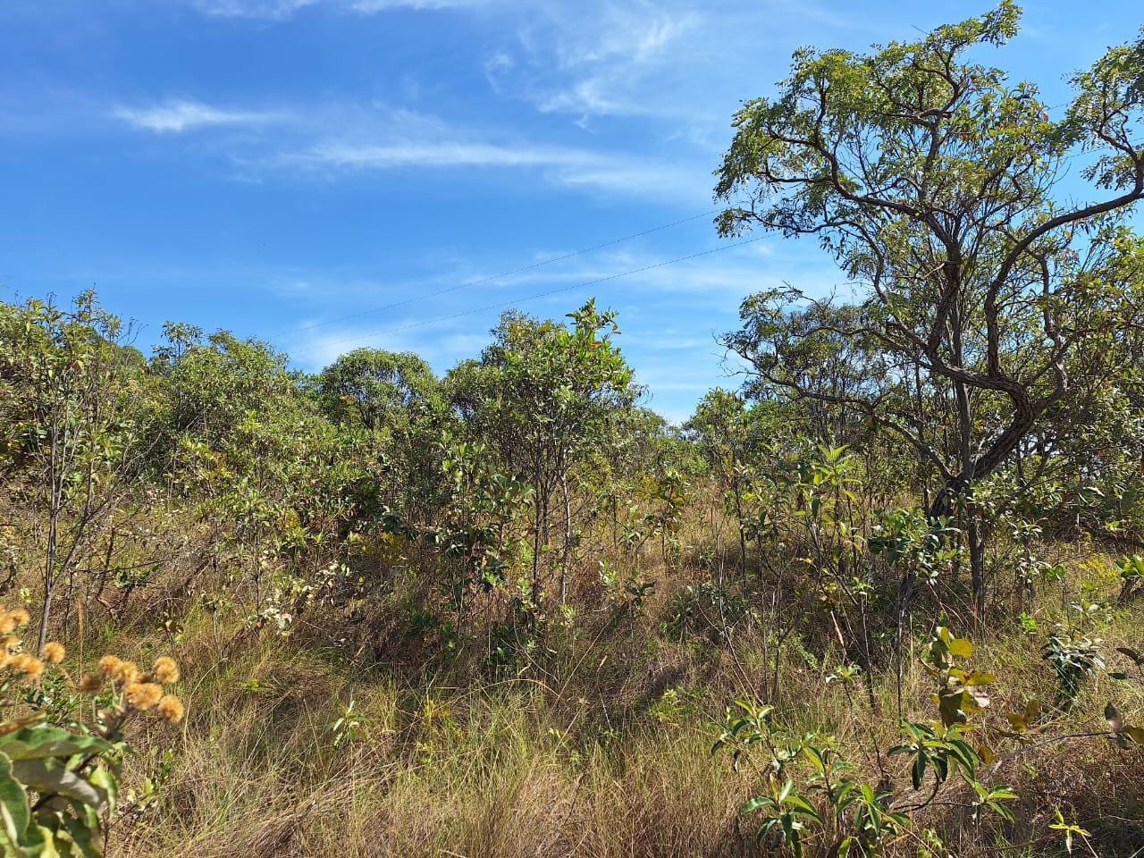 Terreno à venda,20 mil metros quadrados, 50% plano e 50% relevo 9 km de ótima estrada de terra. Escritura e registro. Centro, Sabará, MG miniatura 53