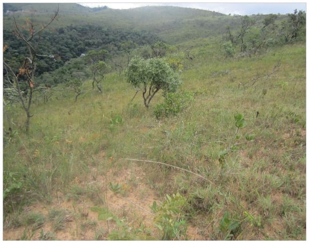 Terreno à venda,20 mil metros quadrados, 50% plano e 50% relevo 9 km de ótima estrada de terra. Escritura e registro. Centro, Sabará, MG miniatura 21