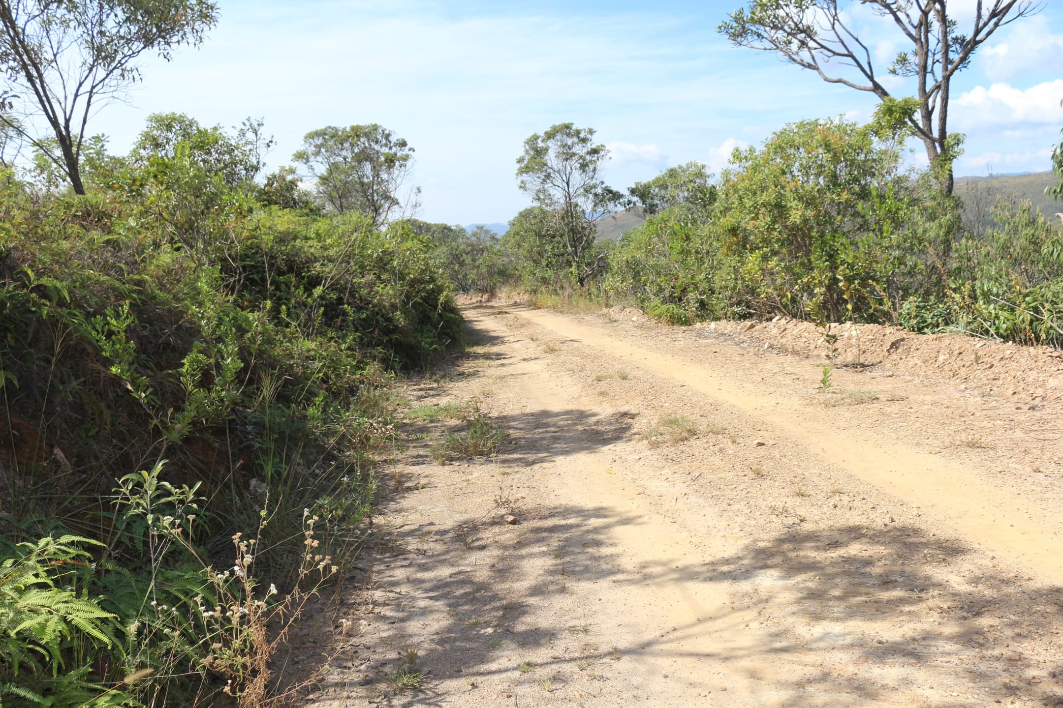 Terreno à venda,20 mil metros quadrados, 50% plano e 50% relevo 9 km de ótima estrada de terra. Escritura e registro. Centro, Sabará, MG miniatura 29