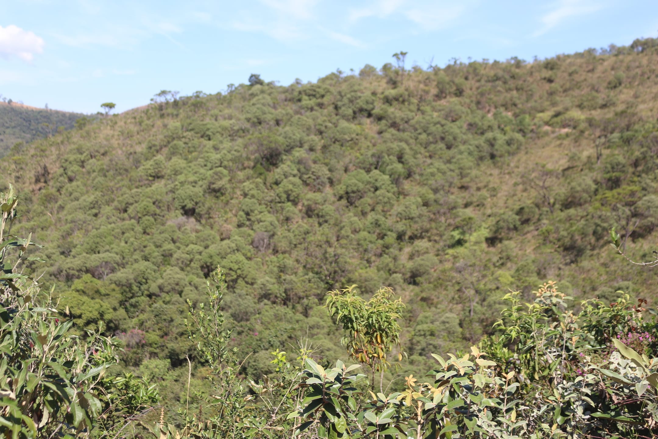 Terreno à venda,20 mil metros quadrados, 50% plano e 50% relevo 9 km de ótima estrada de terra. Escritura e registro. Centro, Sabará, MG miniatura 30