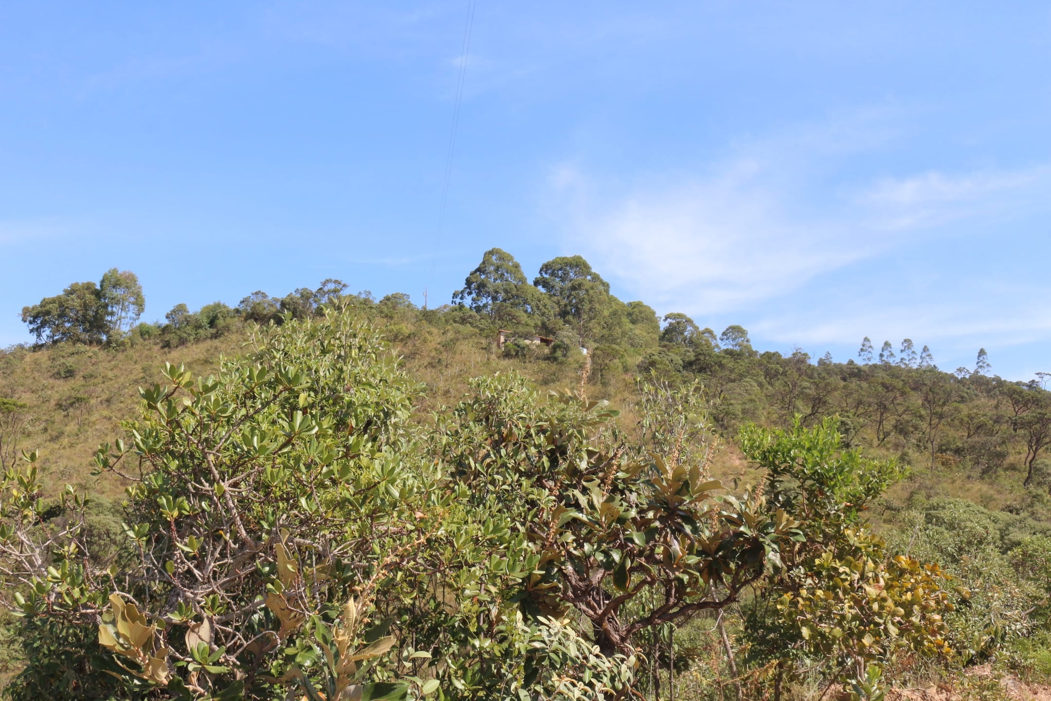 Terreno à venda,20 mil metros quadrados, 50% plano e 50% relevo 9 km de ótima estrada de terra. Escritura e registro. Centro, Sabará, MG miniatura 33