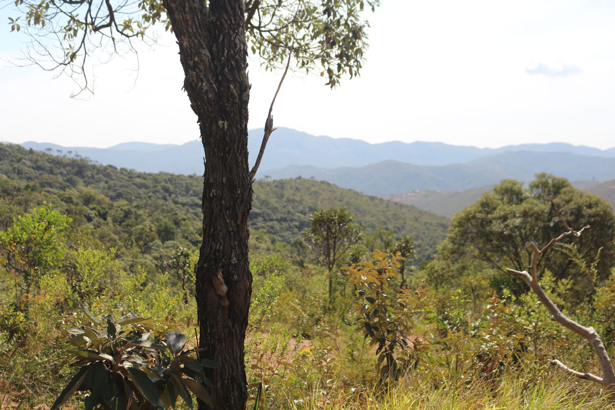 Terreno à venda,20 mil metros quadrados, 50% plano e 50% relevo 9 km de ótima estrada de terra. Escritura e registro. Centro, Sabará, MG miniatura 35