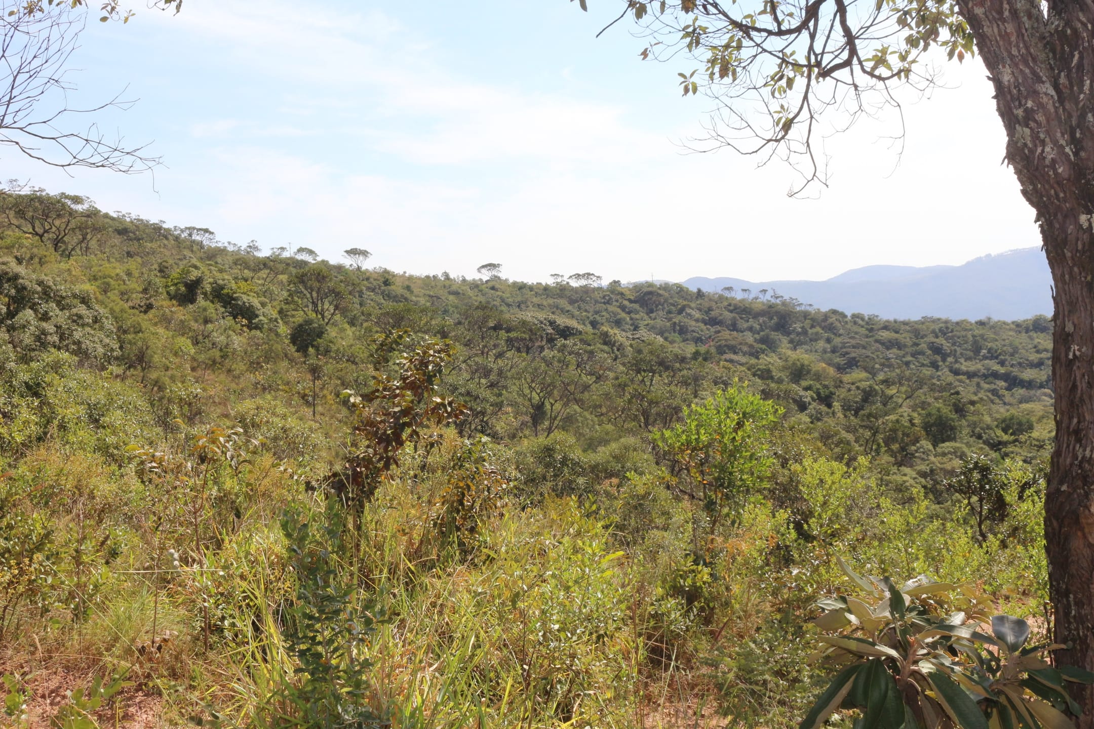 Terreno à venda,20 mil metros quadrados, 50% plano e 50% relevo 9 km de ótima estrada de terra. Escritura e registro. Centro, Sabará, MG miniatura 36