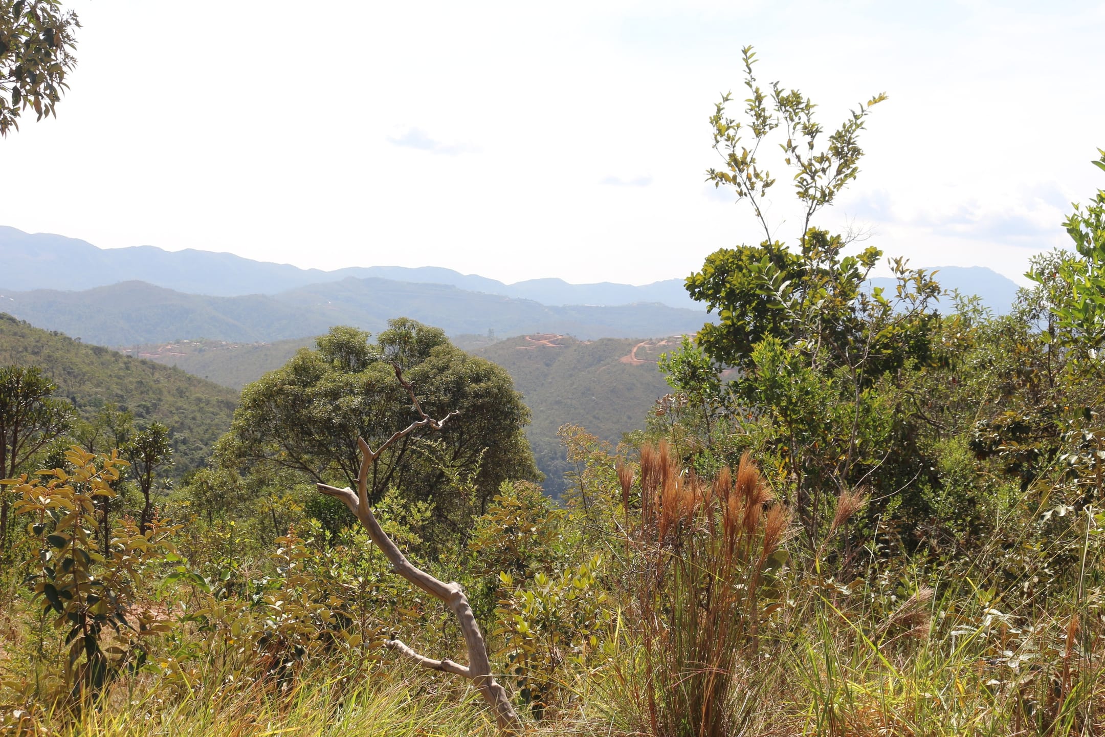 Terreno à venda,20 mil metros quadrados, 50% plano e 50% relevo 9 km de ótima estrada de terra. Escritura e registro. Centro, Sabará, MG miniatura 37