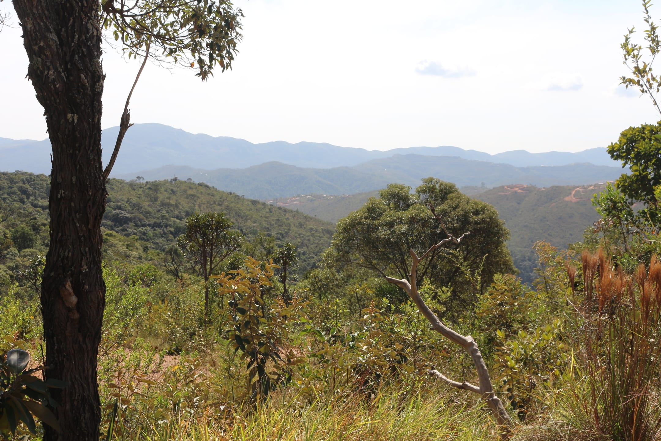 Terreno à venda,20 mil metros quadrados, 50% plano e 50% relevo 9 km de ótima estrada de terra. Escritura e registro. Centro, Sabará, MG miniatura 38