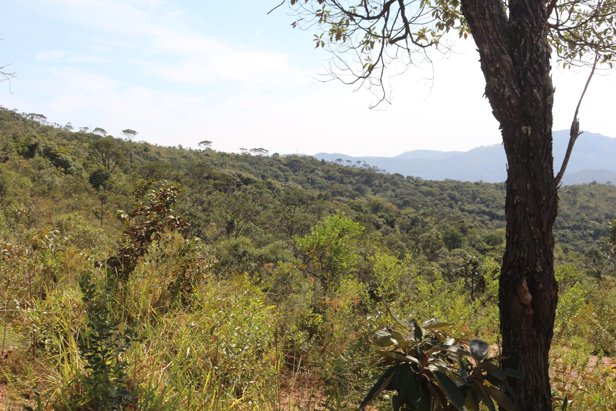 Terreno à venda,20 mil metros quadrados, 50% plano e 50% relevo 9 km de ótima estrada de terra. Escritura e registro. Centro, Sabará, MG miniatura 39