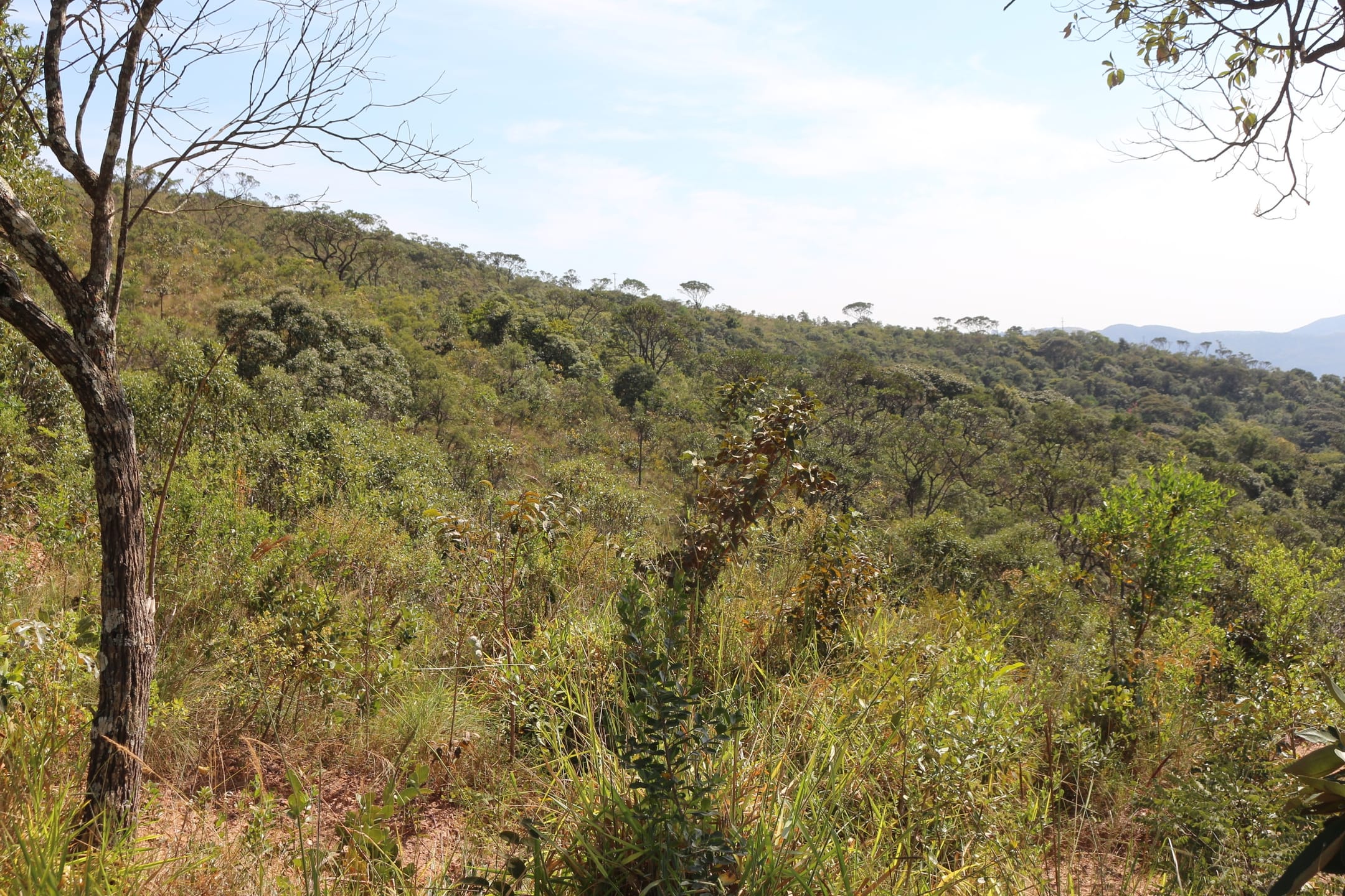 Terreno à venda,20 mil metros quadrados, 50% plano e 50% relevo 9 km de ótima estrada de terra. Escritura e registro. Centro, Sabará, MG miniatura 40