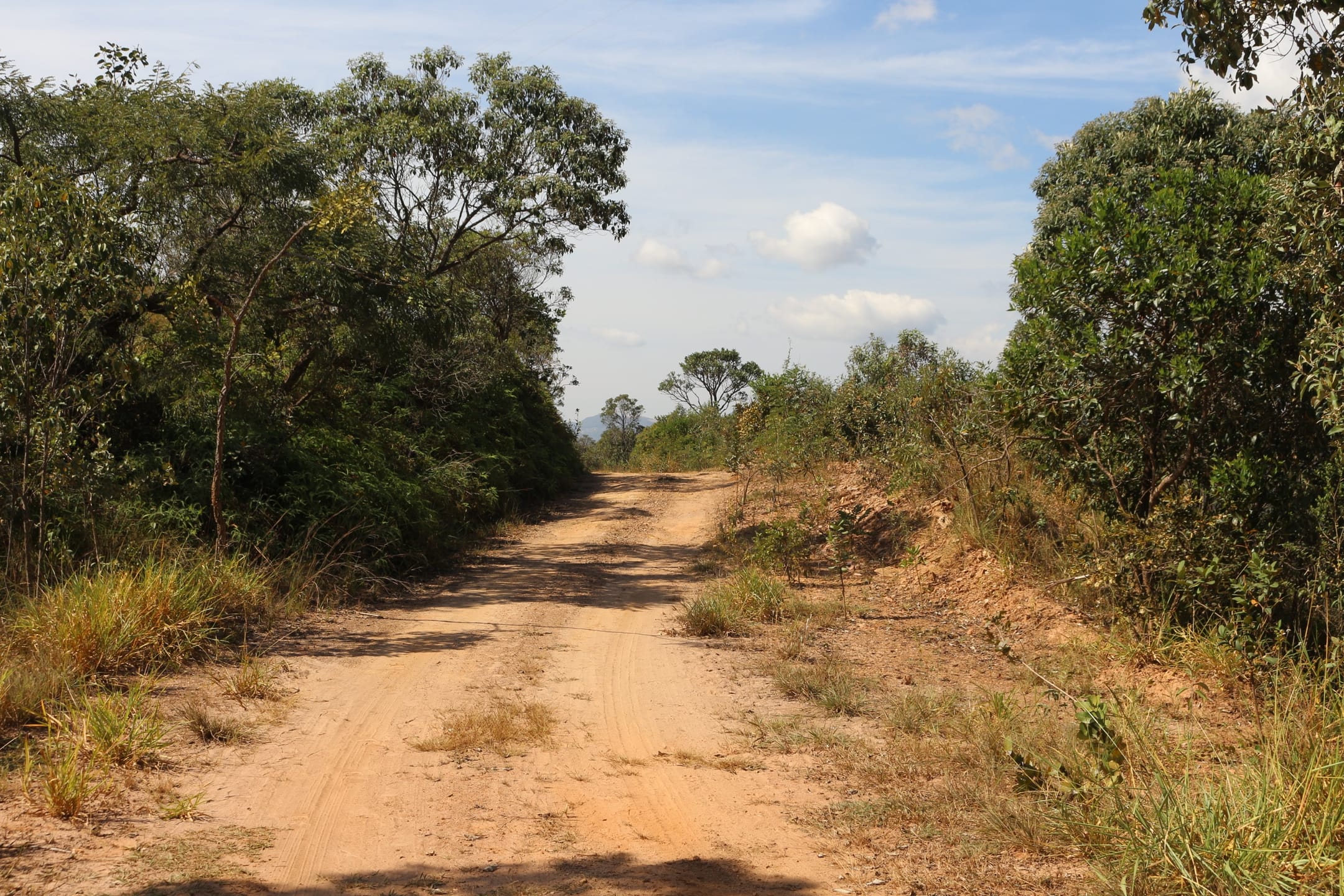 Terreno à venda,20 mil metros quadrados, 50% plano e 50% relevo 9 km de ótima estrada de terra. Escritura e registro. Centro, Sabará, MG miniatura 34