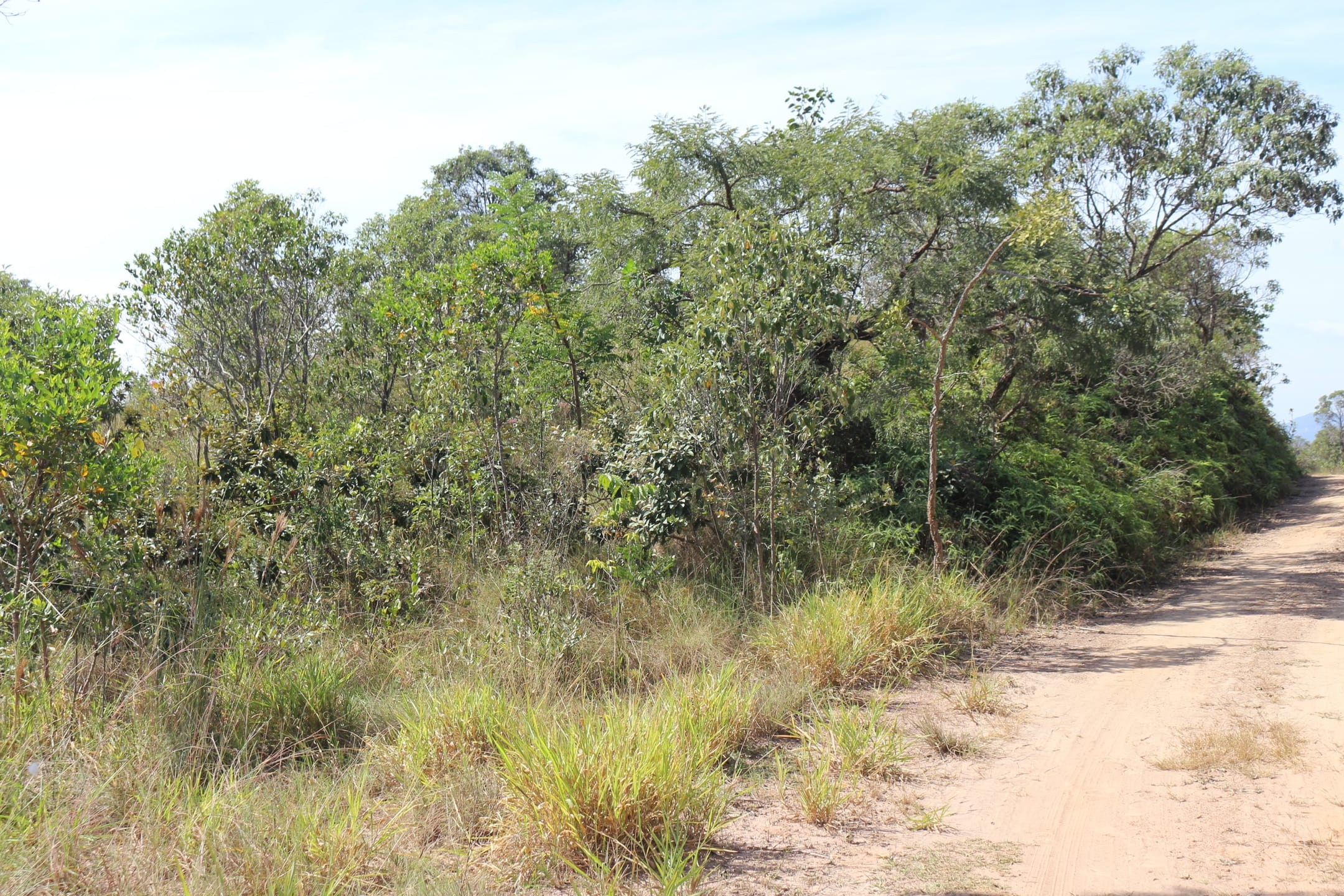 Terreno à venda,20 mil metros quadrados, 50% plano e 50% relevo 9 km de ótima estrada de terra. Escritura e registro. Centro, Sabará, MG miniatura 43