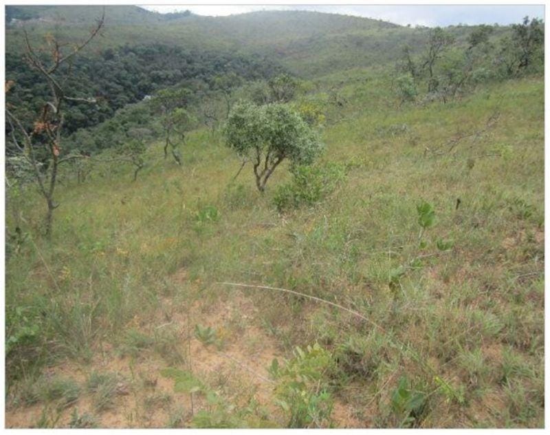 Terreno à venda,20 mil metros quadrados, 50% plano e 50% relevo 9 km de ótima estrada de terra. Escritura e registro. Centro, Sabará, MG miniatura 13