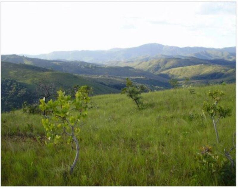 Terreno à venda,20 mil metros quadrados, 50% plano e 50% relevo 9 km de ótima estrada de terra. Escritura e registro. Centro, Sabará, MG miniatura 19