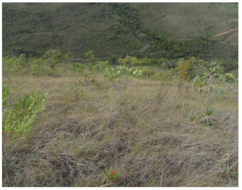Terreno à venda,20 mil metros quadrados, 50% plano e 50% relevo 9 km de ótima estrada de terra. Escritura e registro. Centro, Sabará, MG miniatura 14