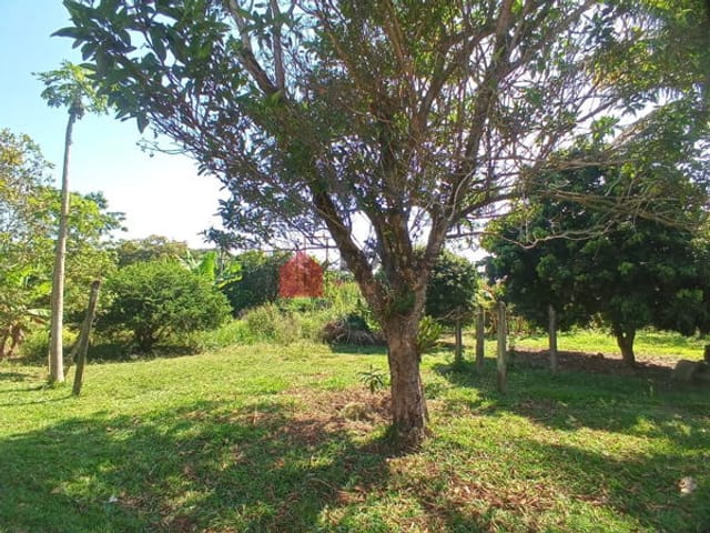 Terreno com 1100m², à venda, no bairro Goiabal em Pindamonhangaba
