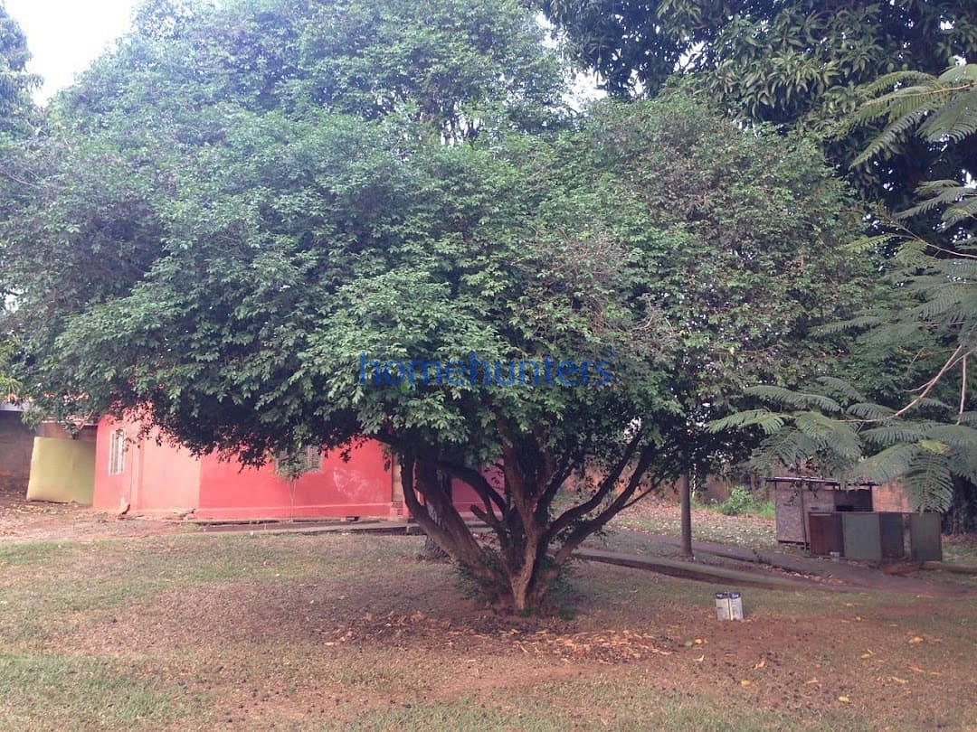 Terreno à venda, 10m² - Foto 31