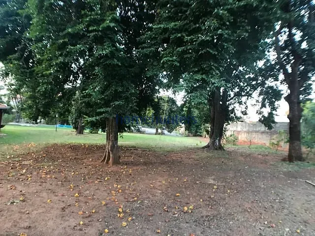 Terreno com 8219m², à venda, no bairro Conjunto Habitacional Padre Anchieta em Campinas