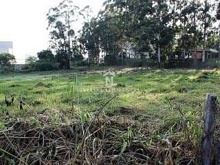 Terreno, 1 hectares - Foto 11