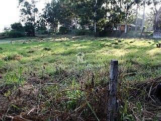Terreno, 1 hectares - Foto 19