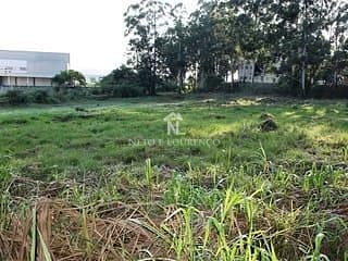 Terreno, 1 hectares - Foto 17