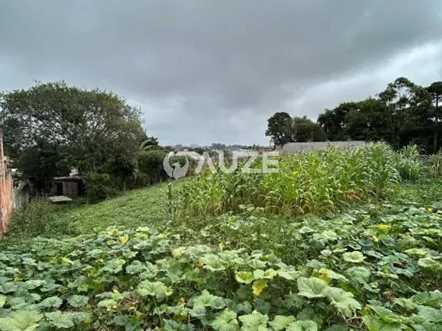 Terreno à venda, no bairro Roseira de São Sebastião em São José Dos Pinhais